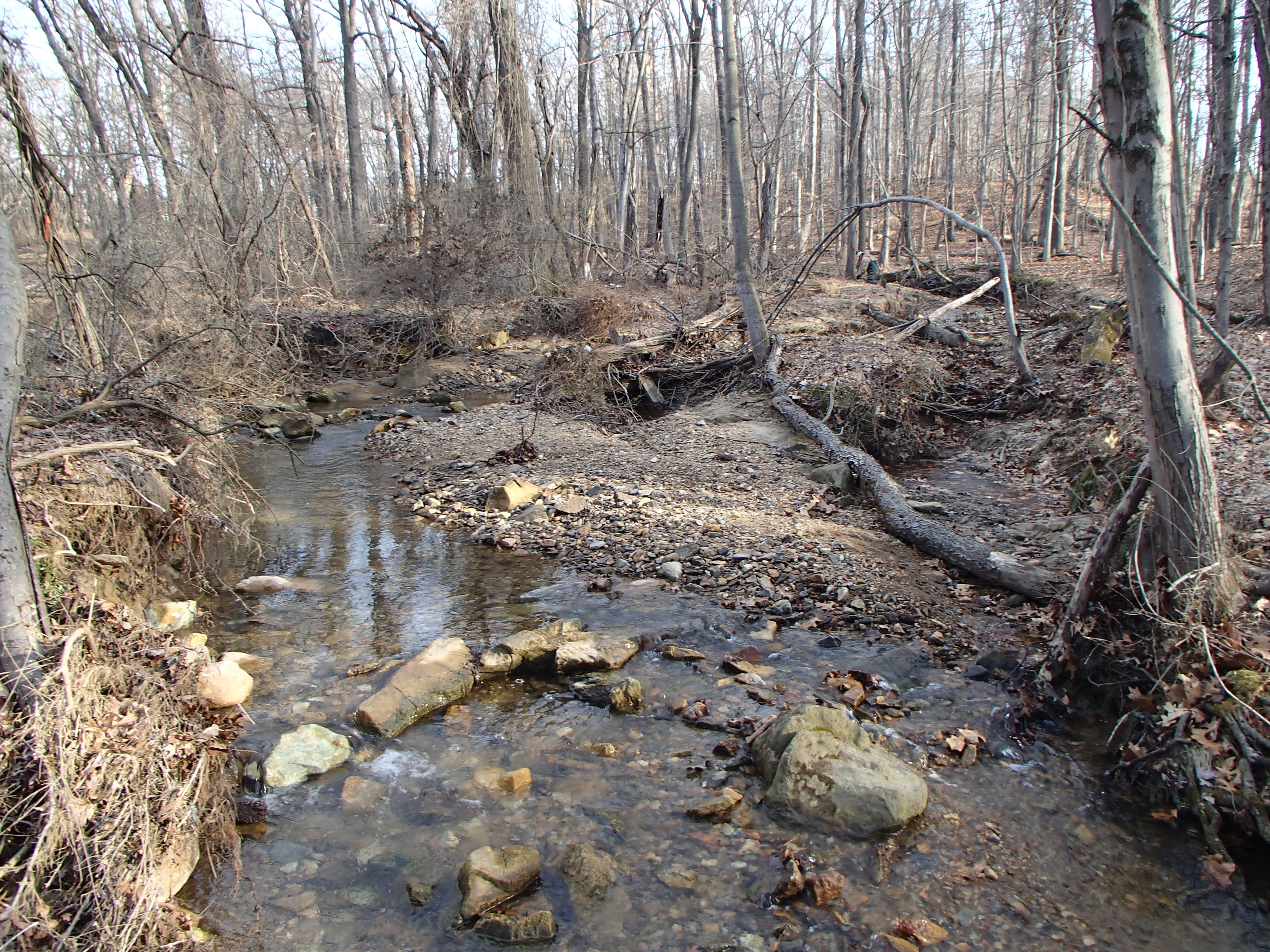 Field photo showing stream conditions at site SBPA-108-X-2016_midpoint looking upstream